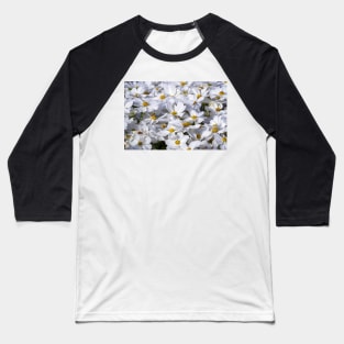 White Daisy Flowers Baseball T-Shirt